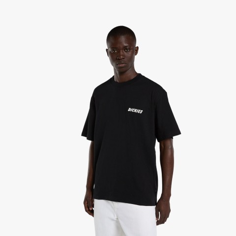 Dickies Dry Ridge