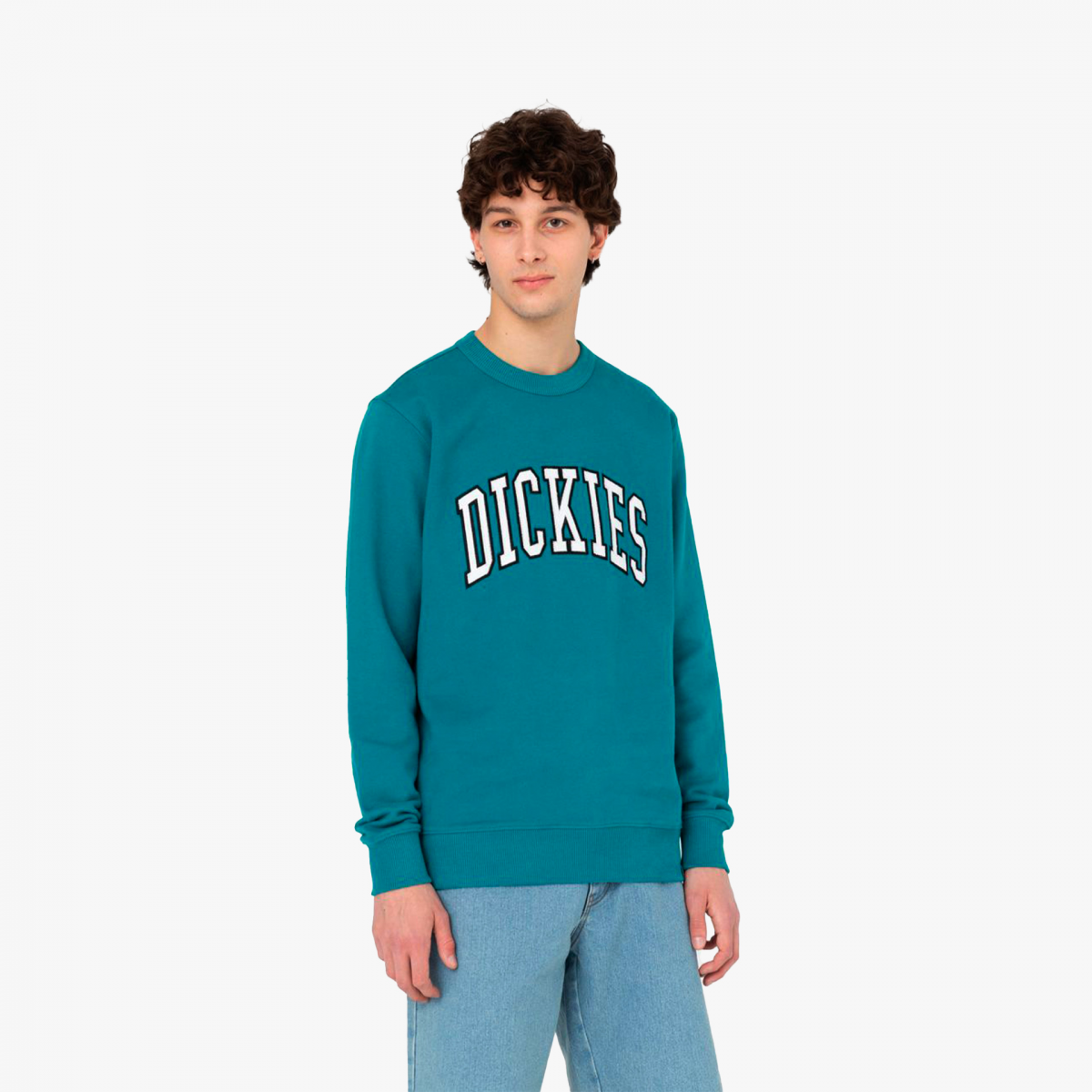 Dickies Sweat Aitkin DK0A4XAB E64 Fuxia